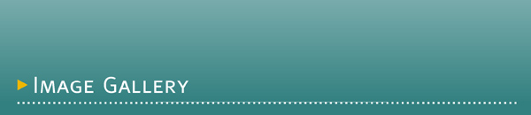 Image gallery
