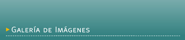 Banner Galer�a